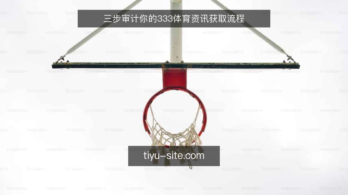 三步审计你的333体育资讯获取流程