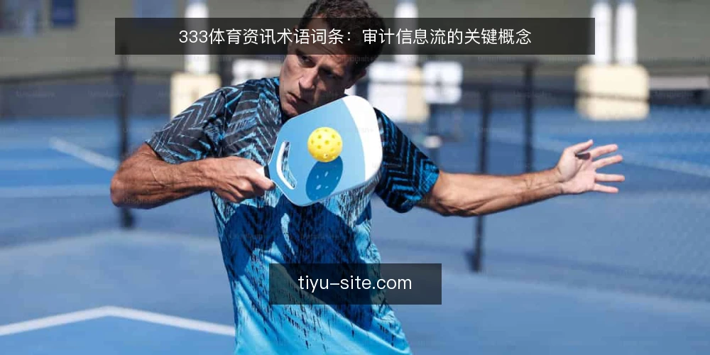 333体育资讯术语词条:审计信息流的关键概念 — 为何现在审计你的体育资讯流 配图