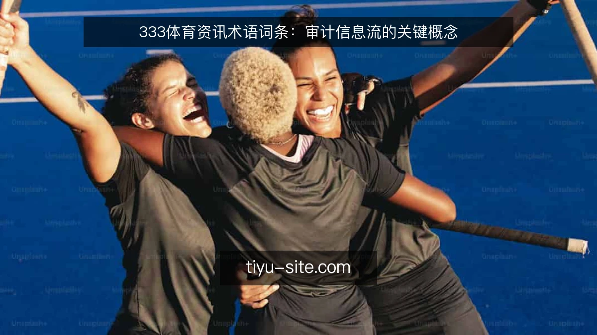 333体育资讯术语词条:审计信息流的关键概念