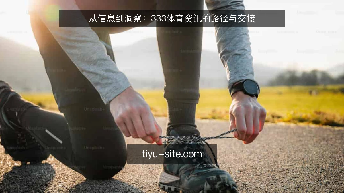 从信息到洞察：333体育资讯的路径与交接