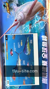 进度看板查看